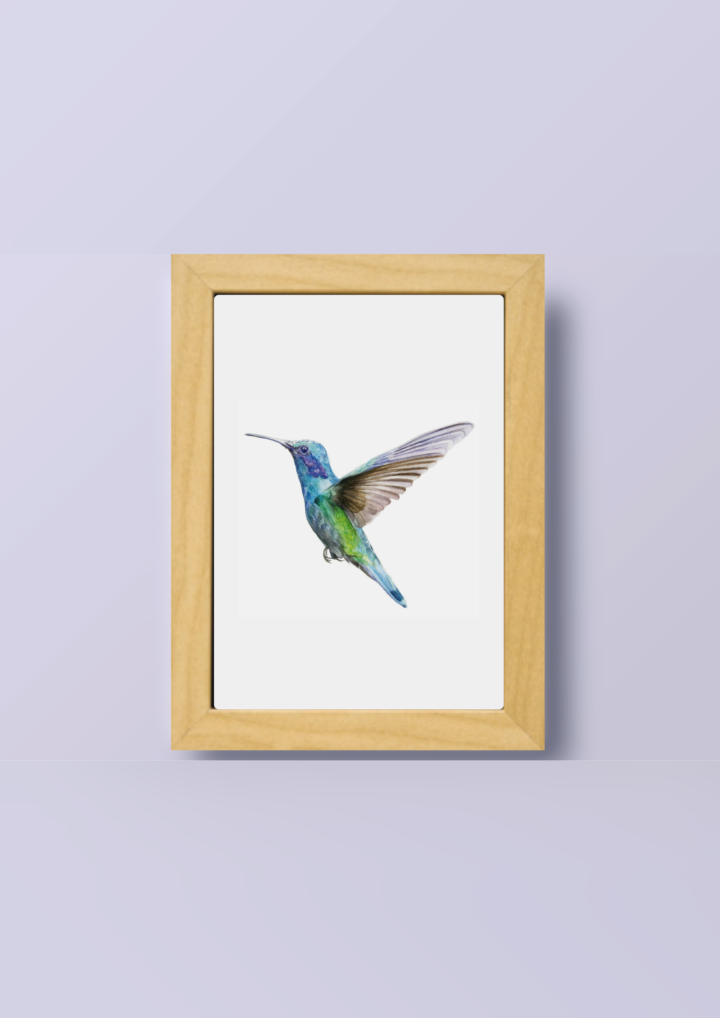 Cuadro original de colibríes (agenda de febrero/23)