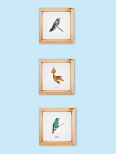 Tríptico de aves - reproducción Giclée